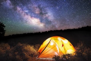 Camp in Ancient Bristlecone Pine Forest