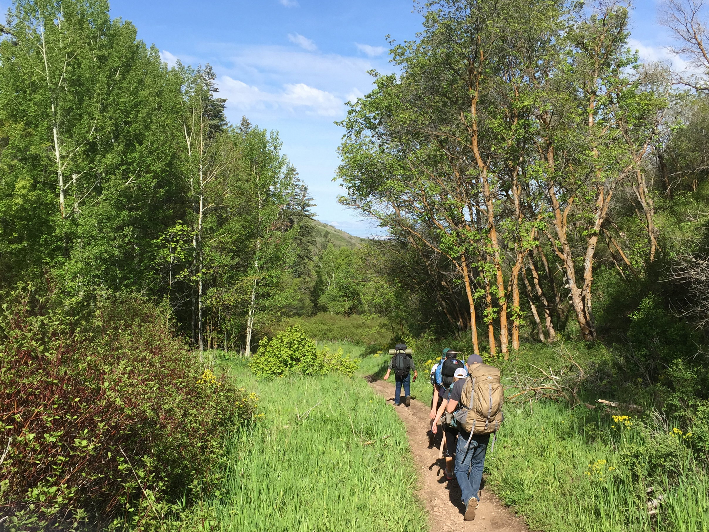 Backpack to Rudy's Flat