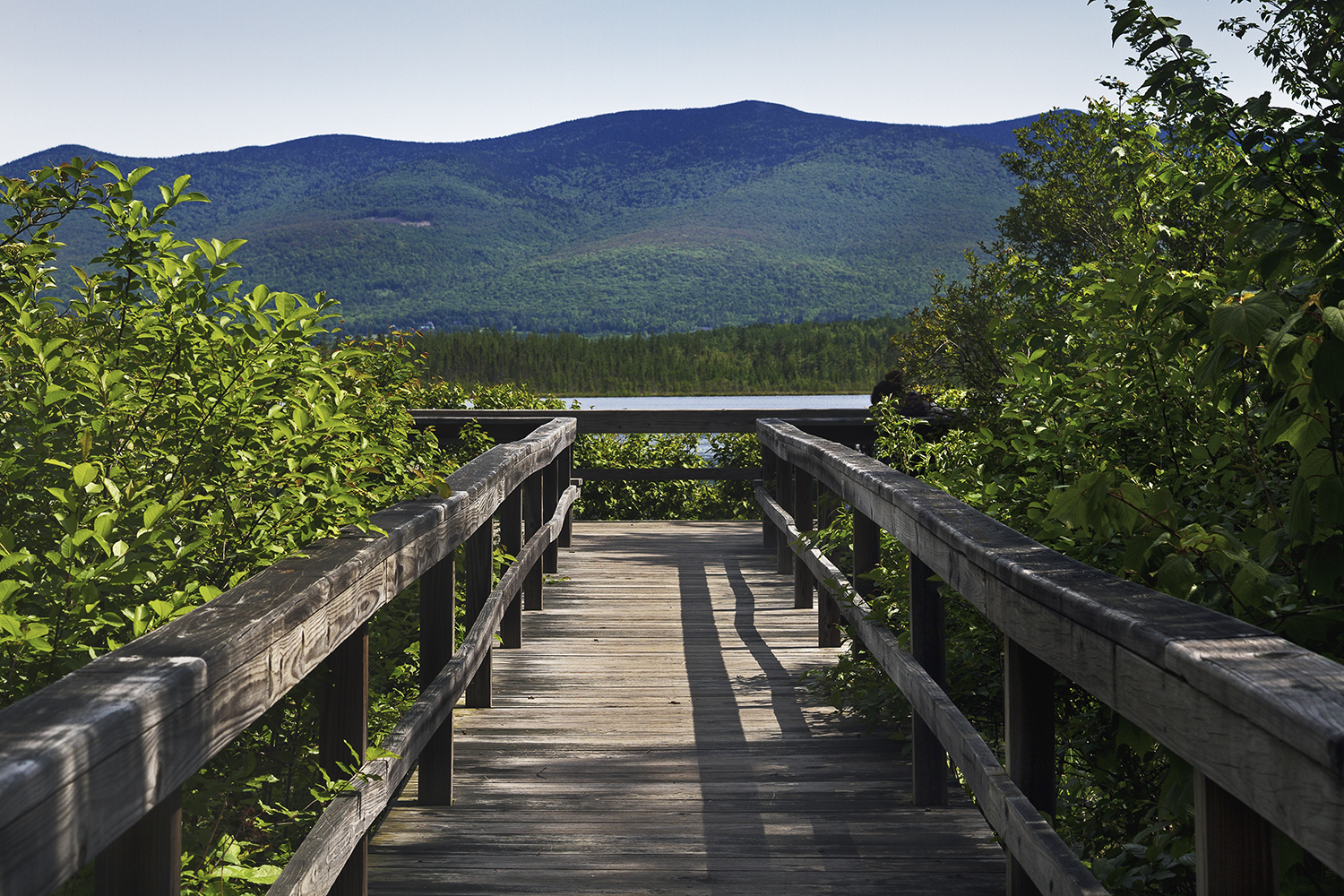 Hiking at Pondicherry Wildlife Refuge