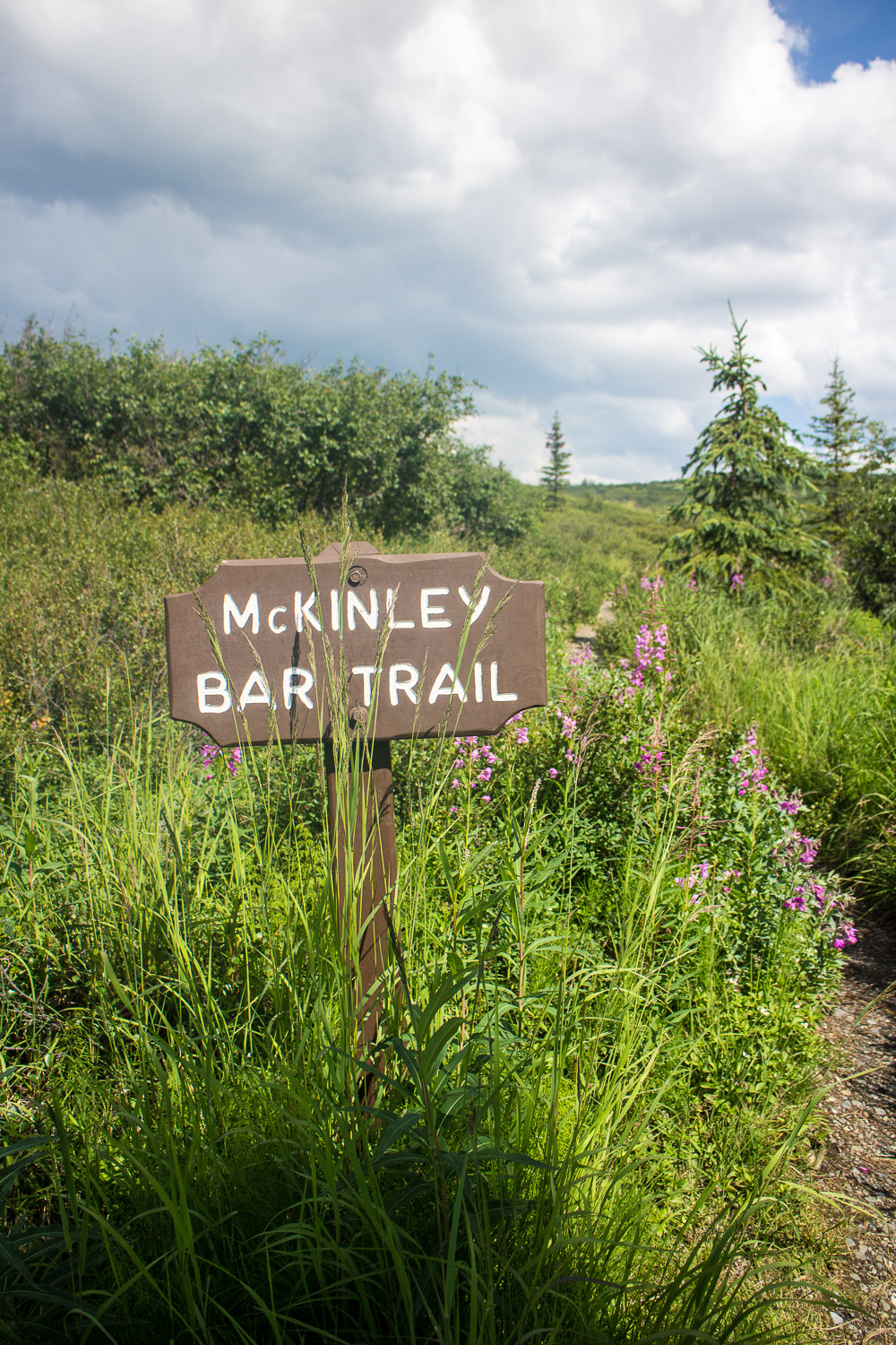 Hike the McKinley Bar Trail