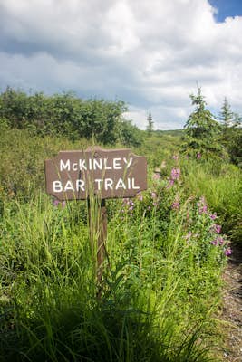 Hike the McKinley Bar Trail