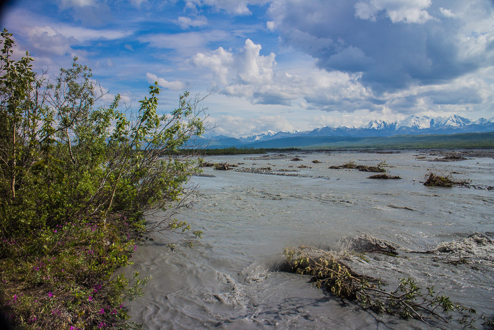 Hike the McKinley Bar Trail
