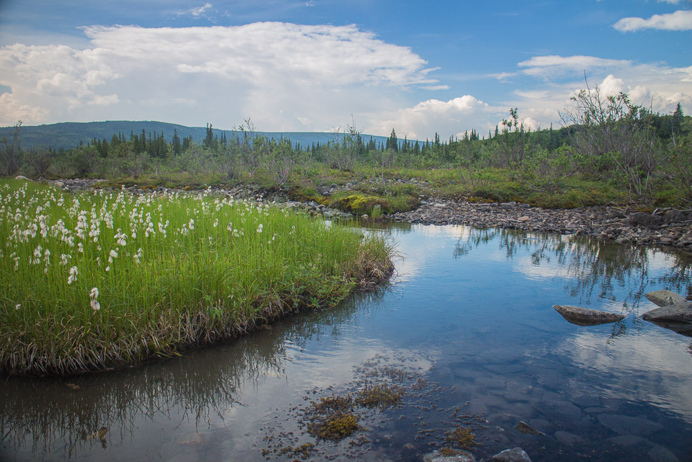 Hike the McKinley Bar Trail, Healy, Alaska