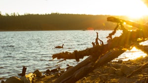 Camp at Clear Lake