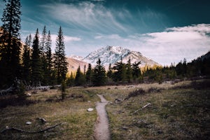 Backpack the Hurricane Creek Trail 