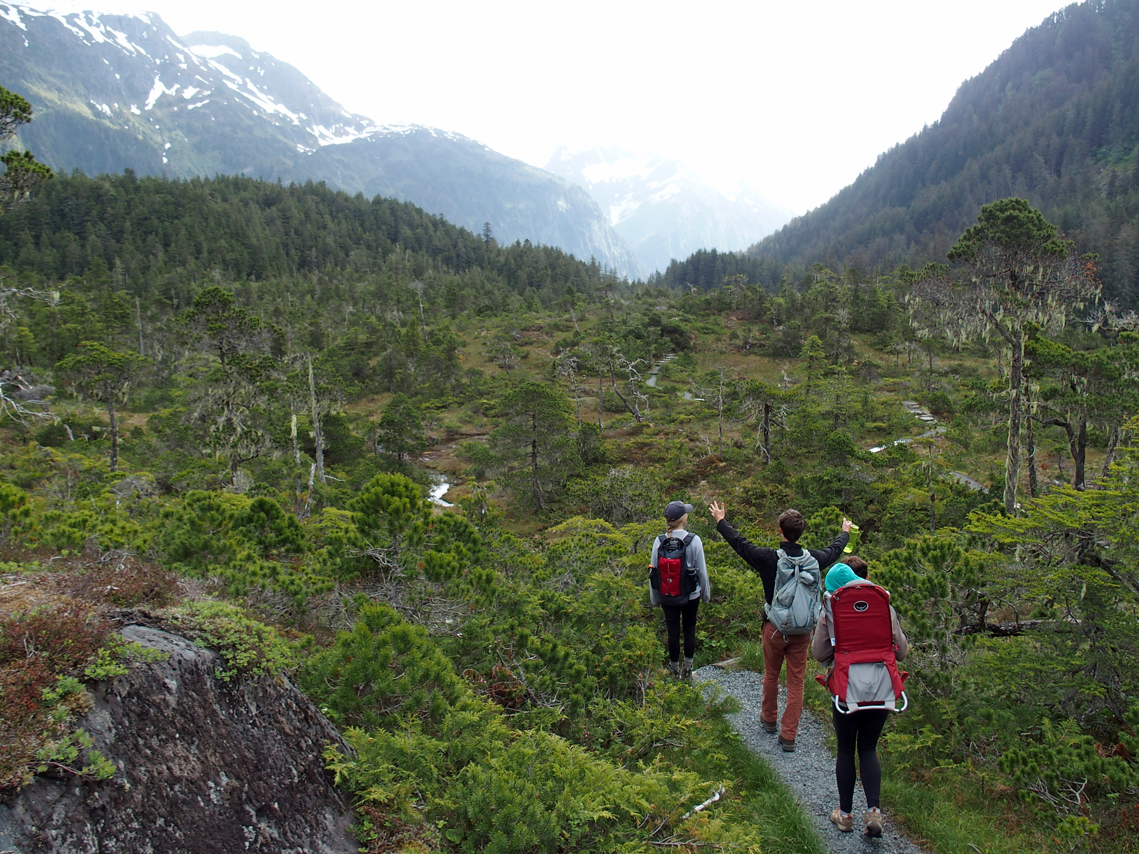 Hike Herring Cove Trail to Beaver Lake