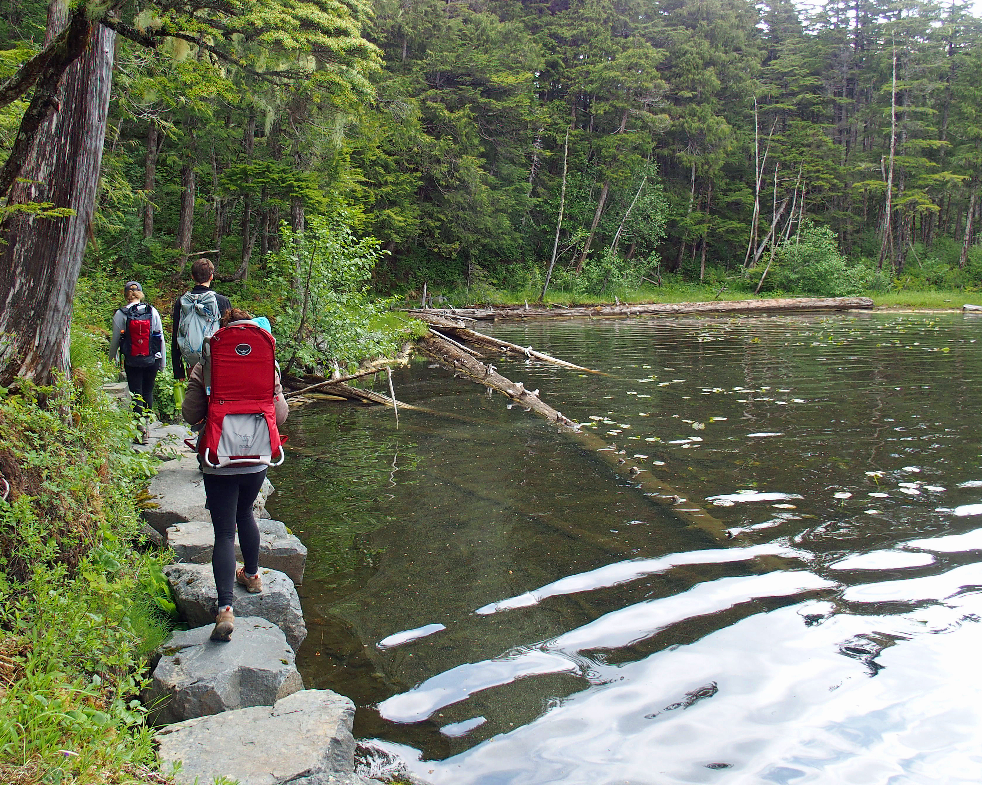 Hike Herring Cove Trail to Beaver Lake