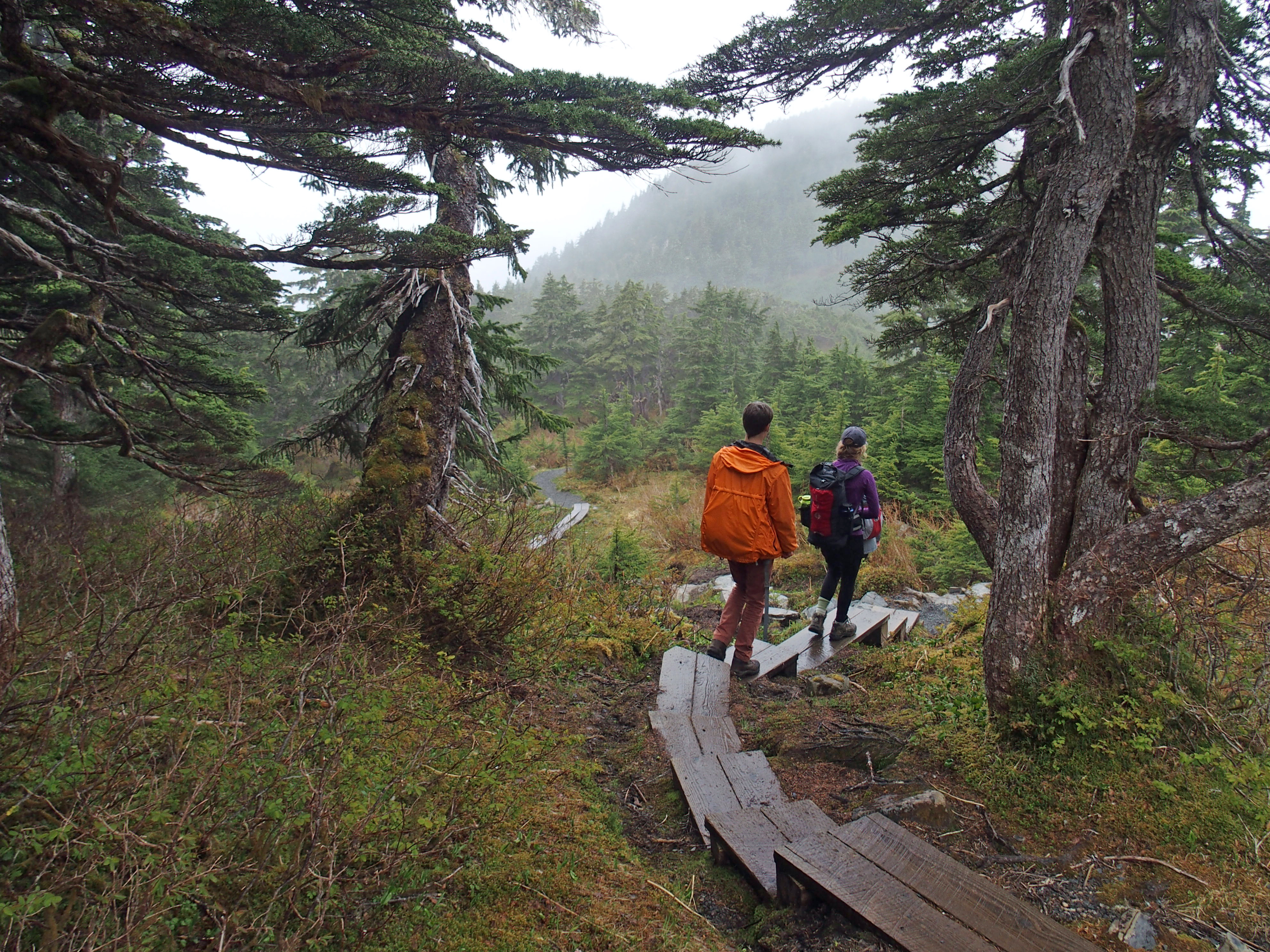 Hike Harbor Mountain via the Gavin Hill Trail