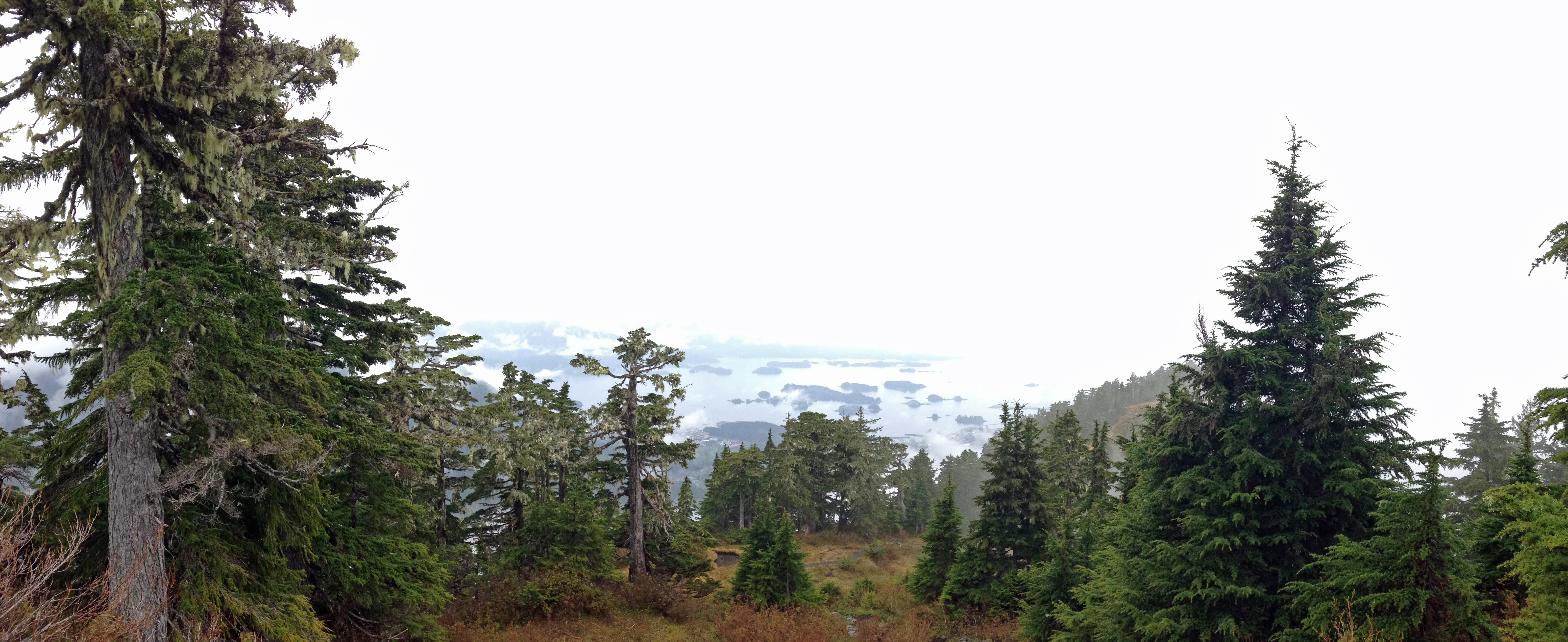 Hike Harbor Mountain via the Gavin Hill Trail