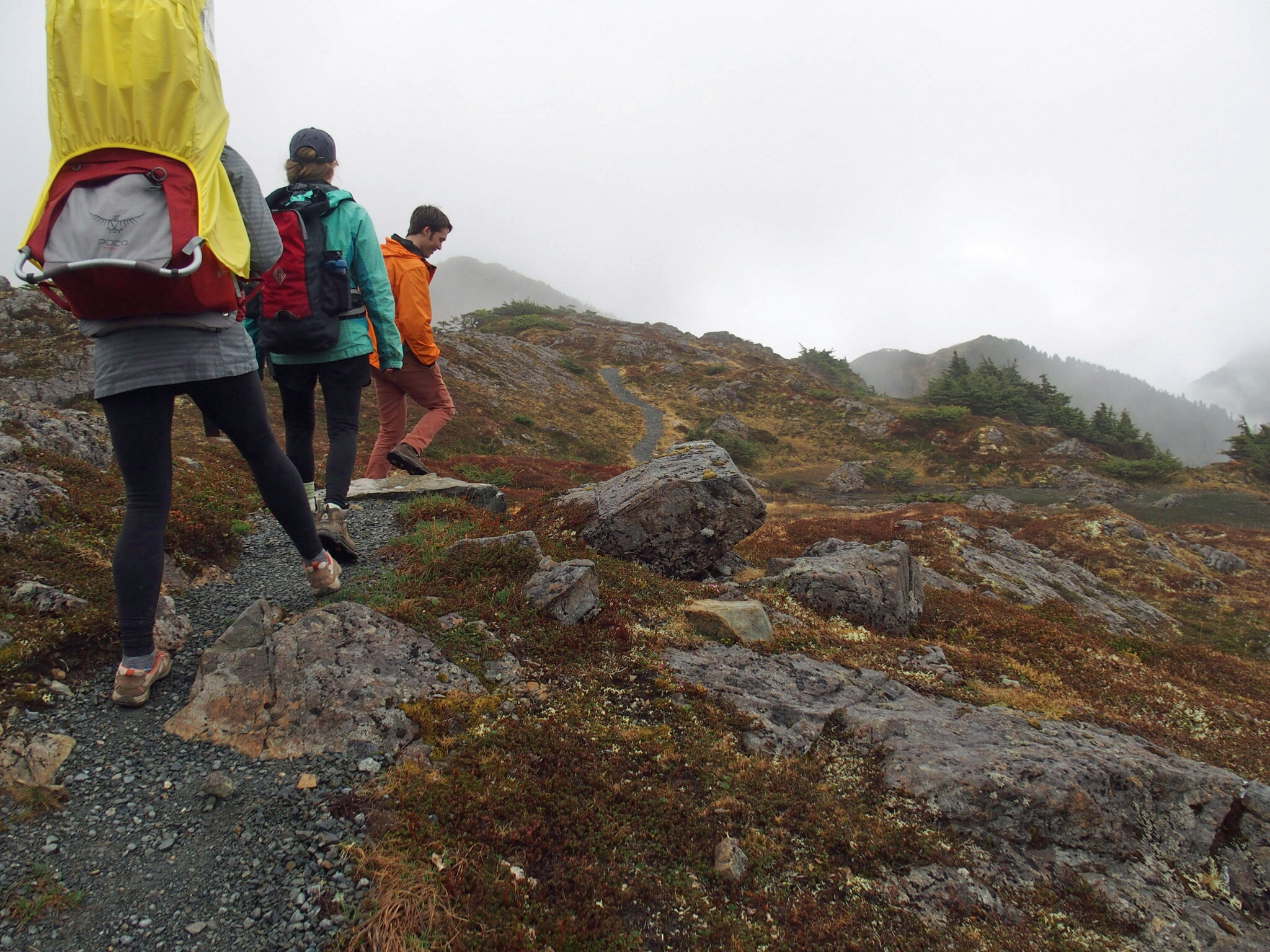 Hike Harbor Mountain via the Gavin Hill Trail