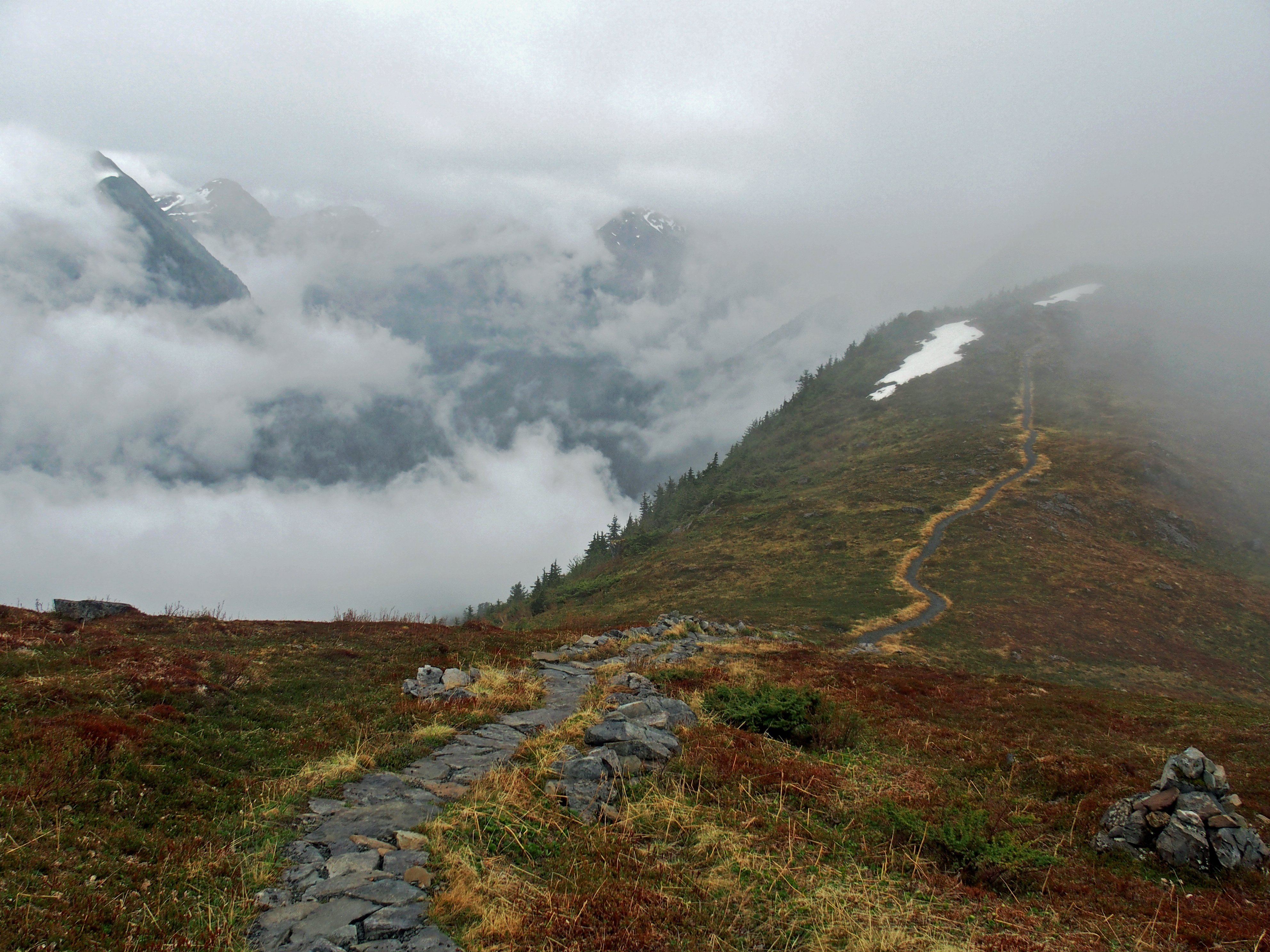 Hike Harbor Mountain via the Gavin Hill Trail