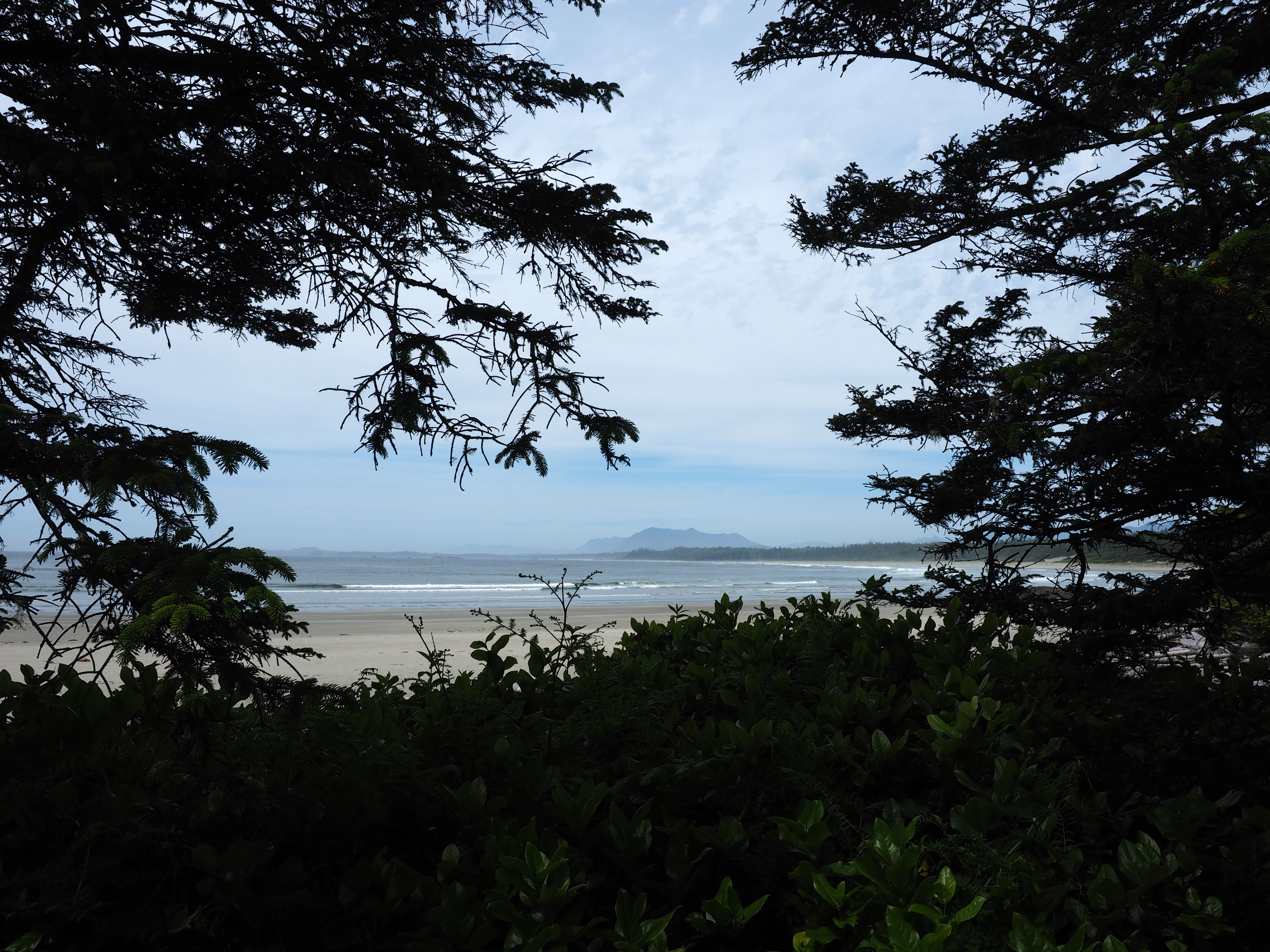 Hike to Florencia Beach