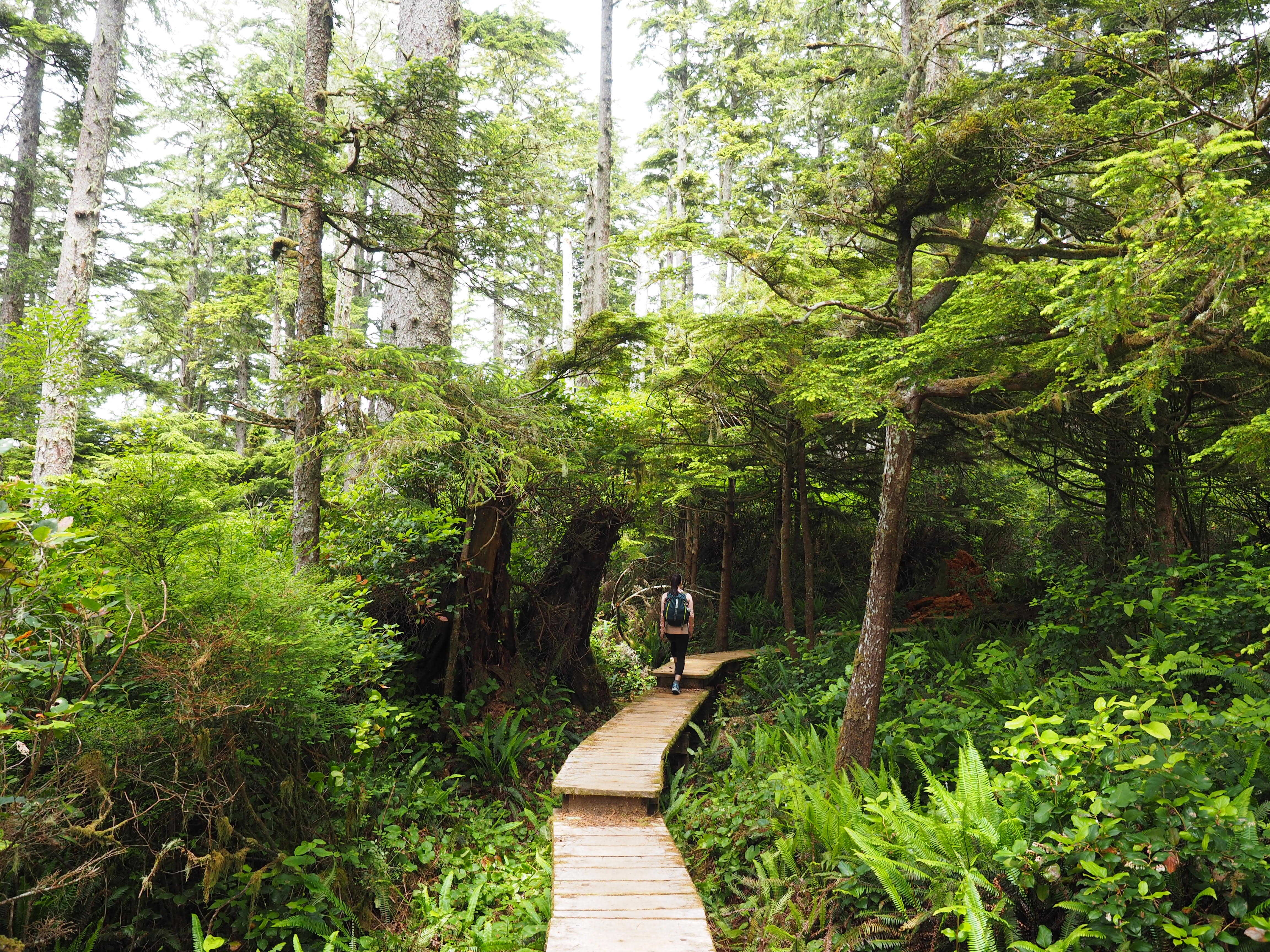 Hike to Florencia Beach