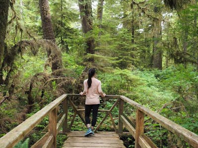 Hike the Rainforest Trails in Clayoquot Sound