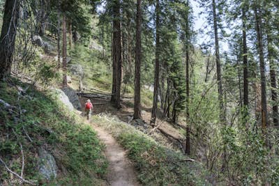 Backpack the High Sierra Trail