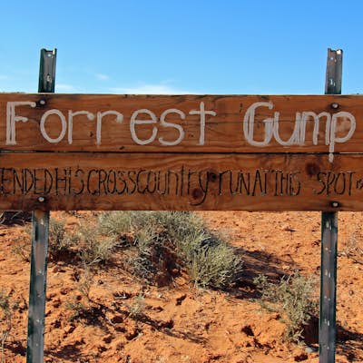Explore Forrest Gump Hill