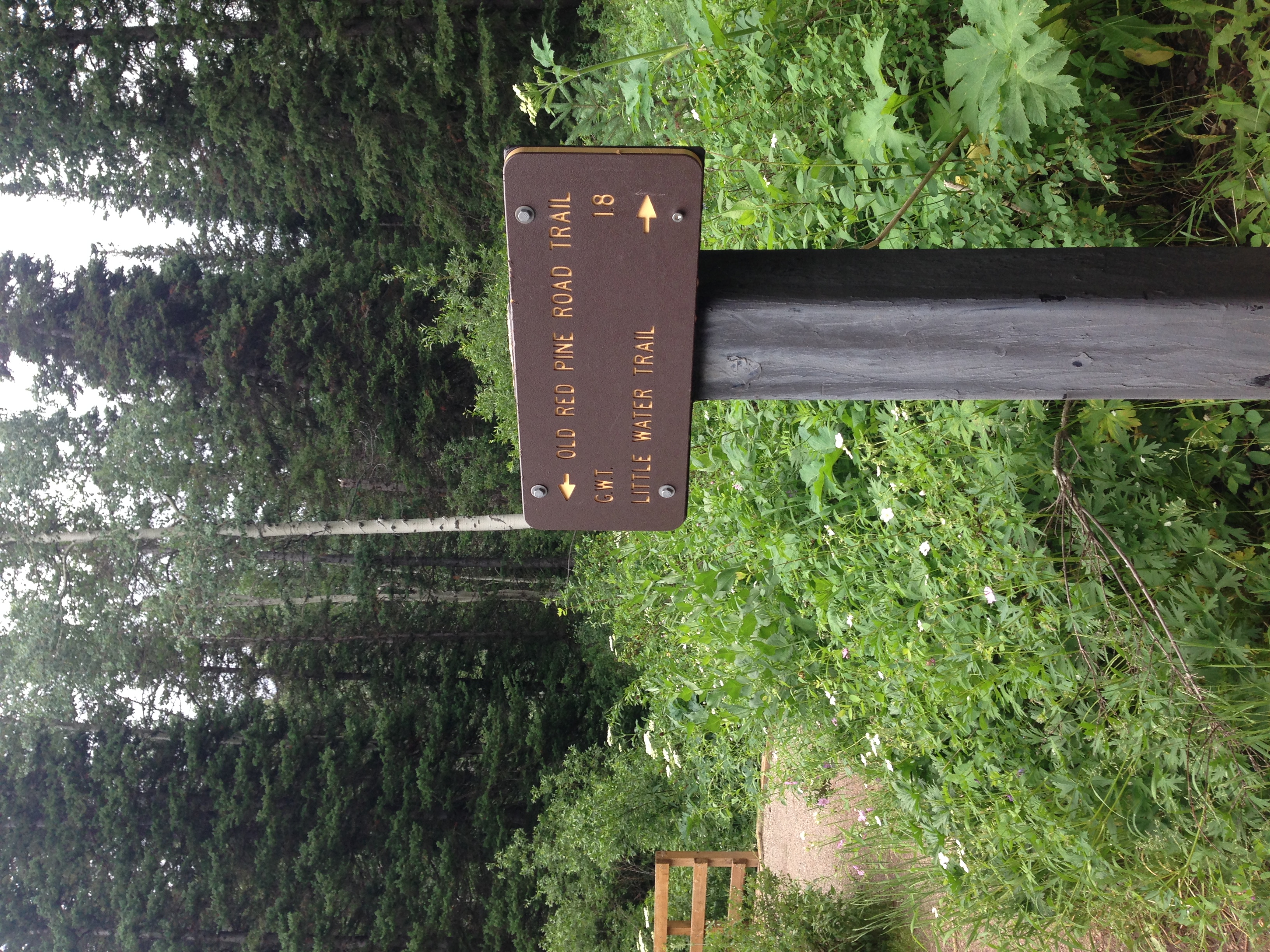 Hike Old Red Pine Road Trail