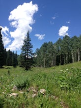 Hike Old Red Pine Road Trail