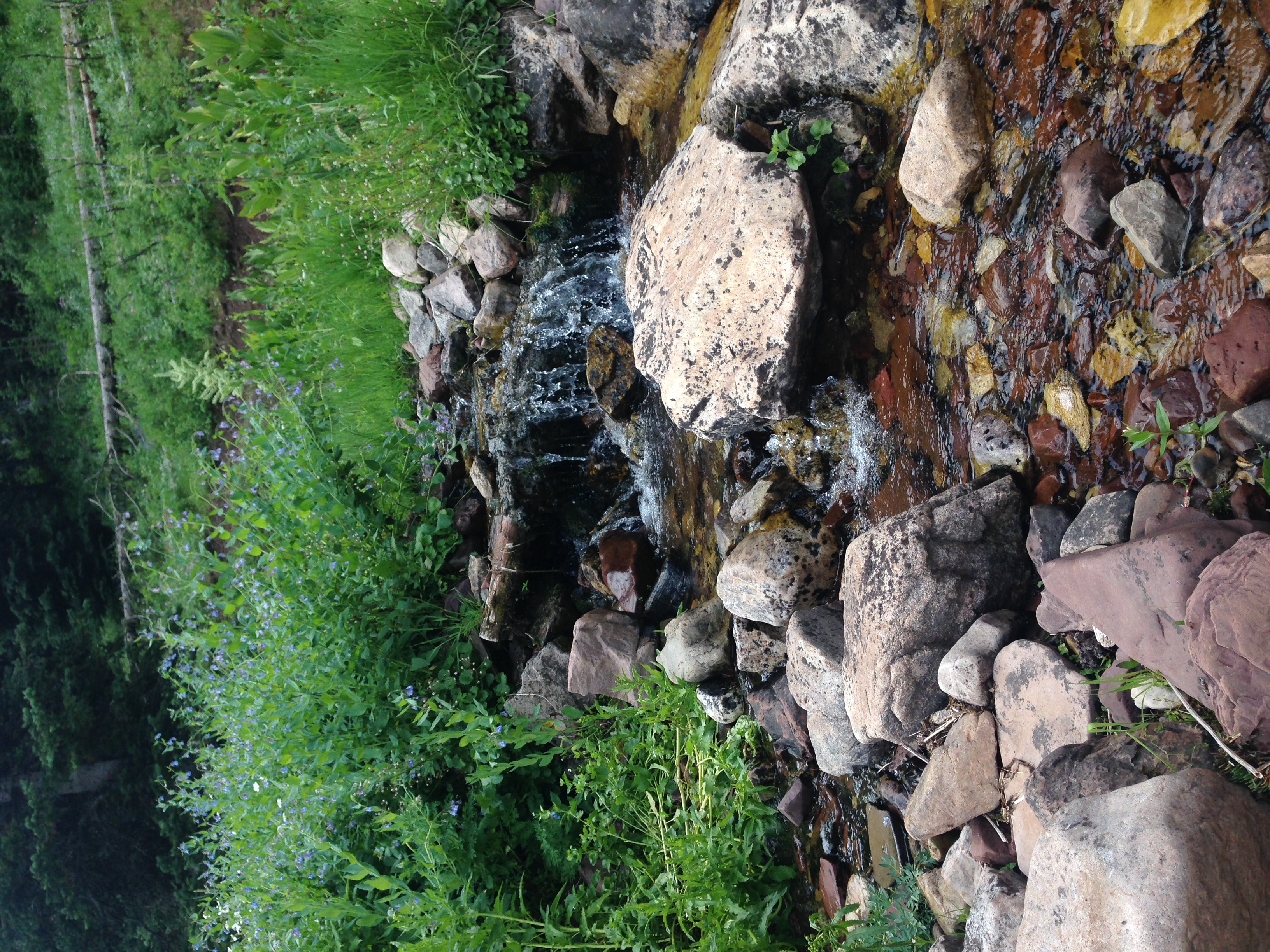 Hike Old Red Pine Road Trail