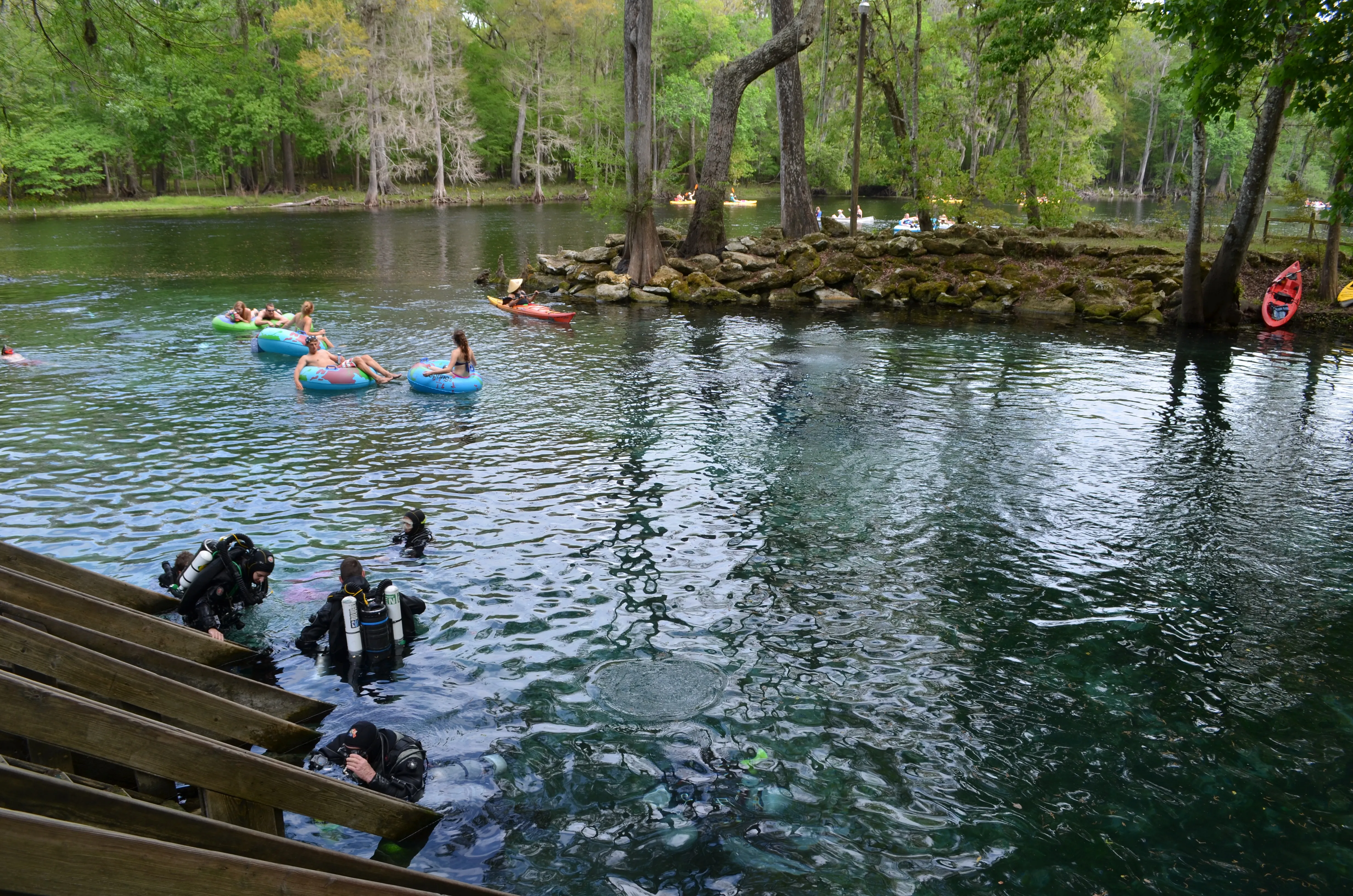 Swim at Ginnie Springs