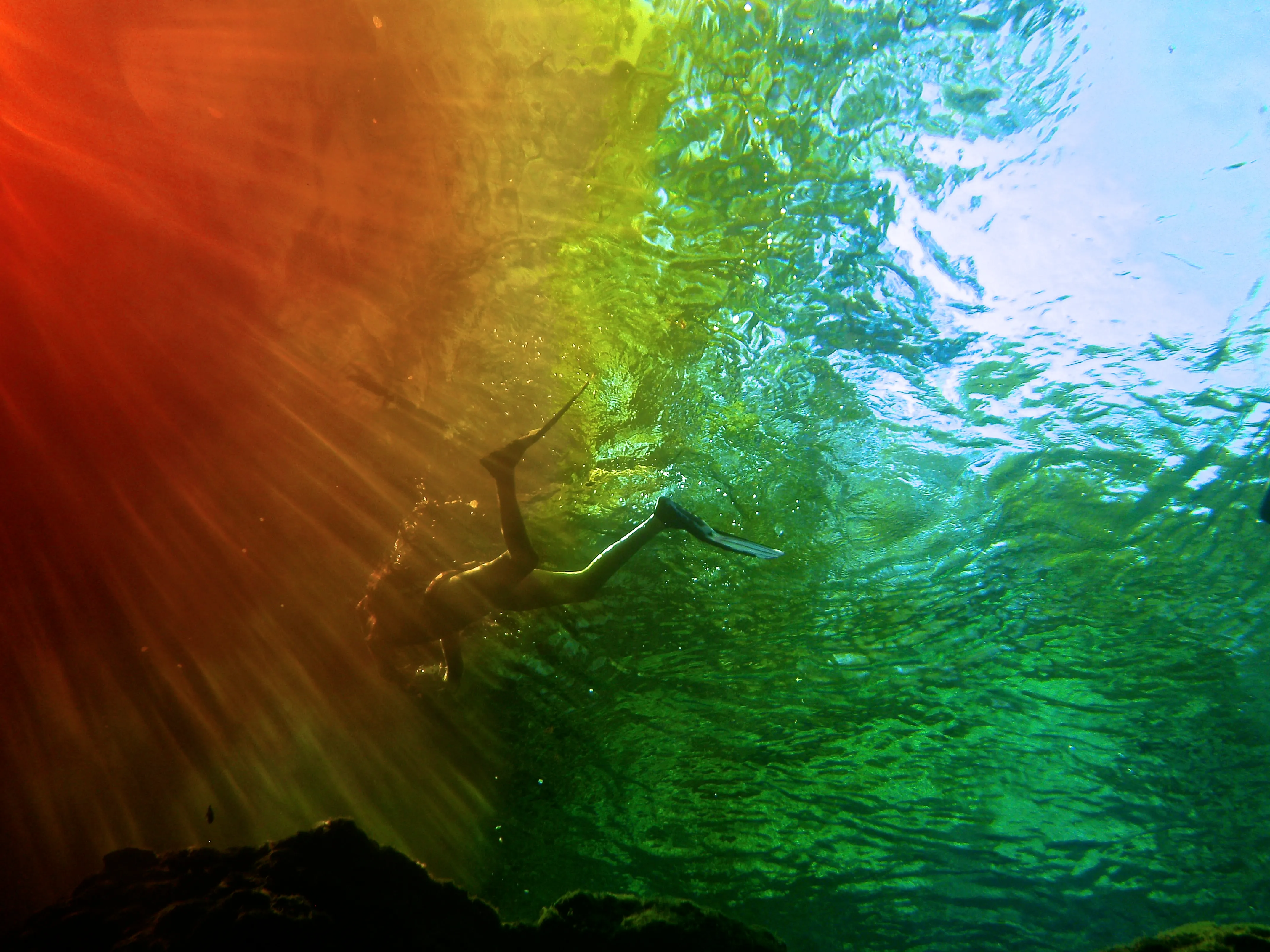 Swim at Ginnie Springs