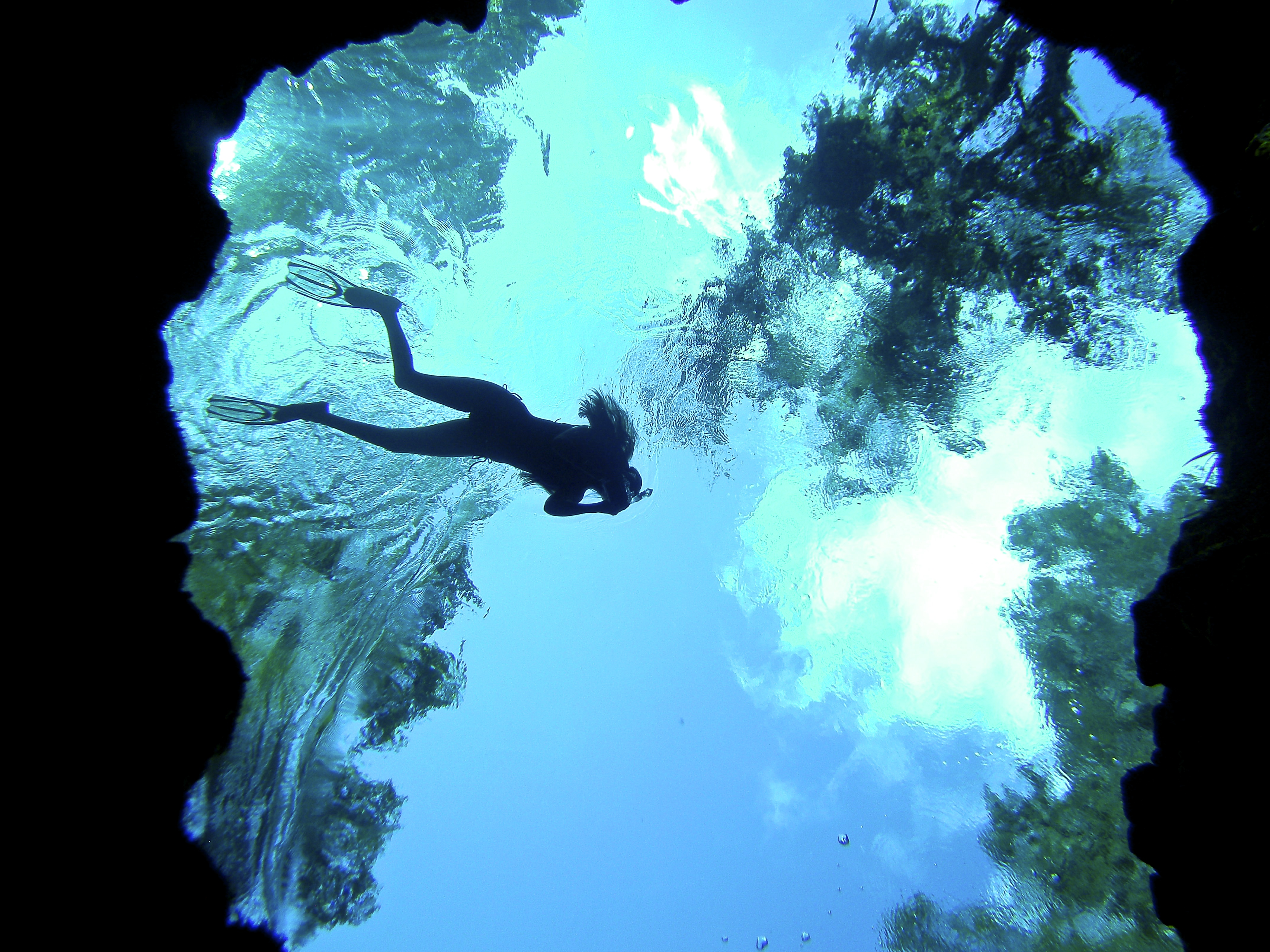 Snorkel at Ichetucknee Blue Hole