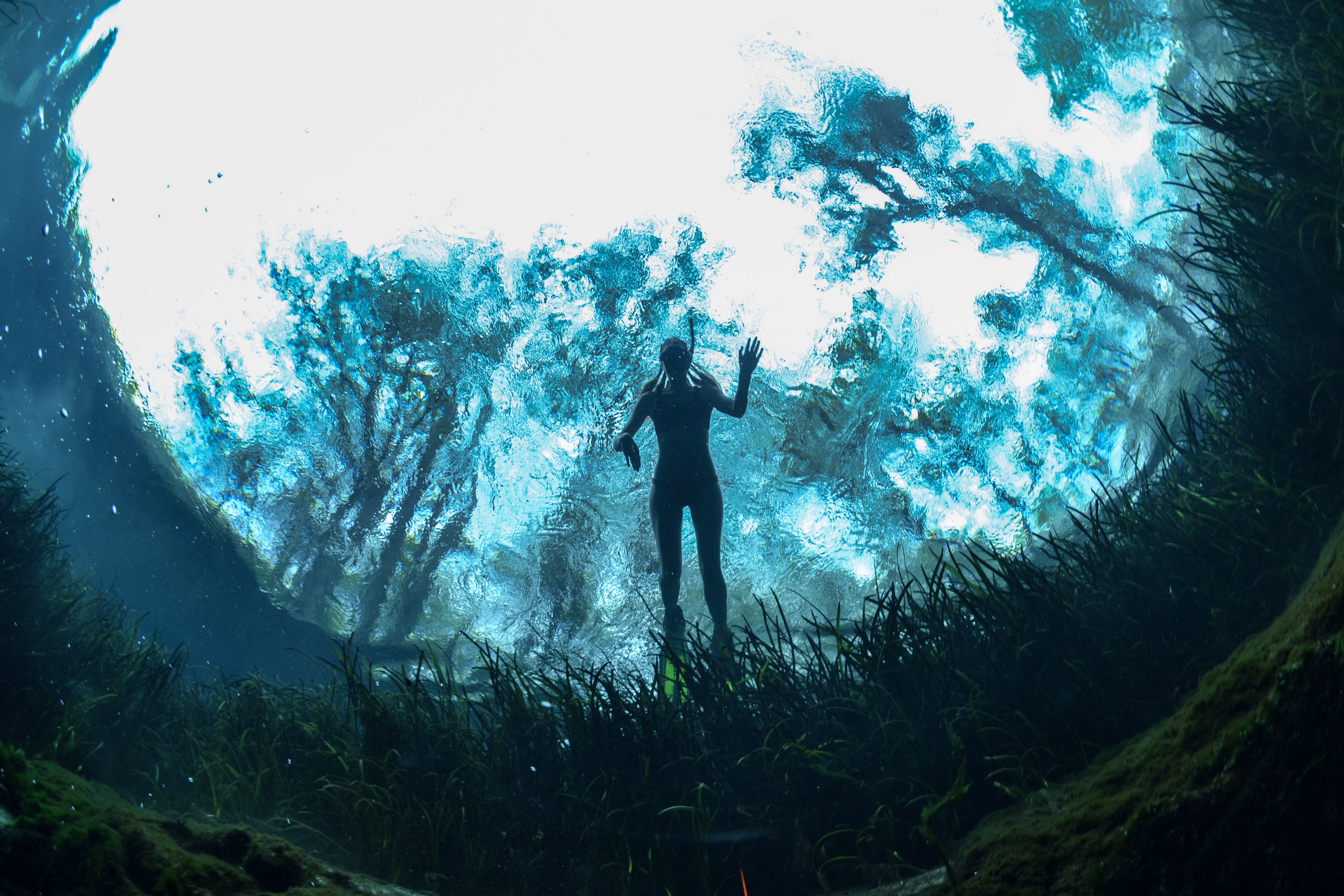 Snorkel at Ichetucknee Blue Hole