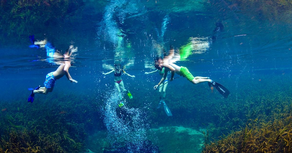 O Brien Auto Park >> Snorkel at Ichetucknee Blue Hole, Blue Hole Spring Trail O Brien Auto Park >> Snorkel at Ichetucknee Blue Hole, Blue Hole Spring Trail