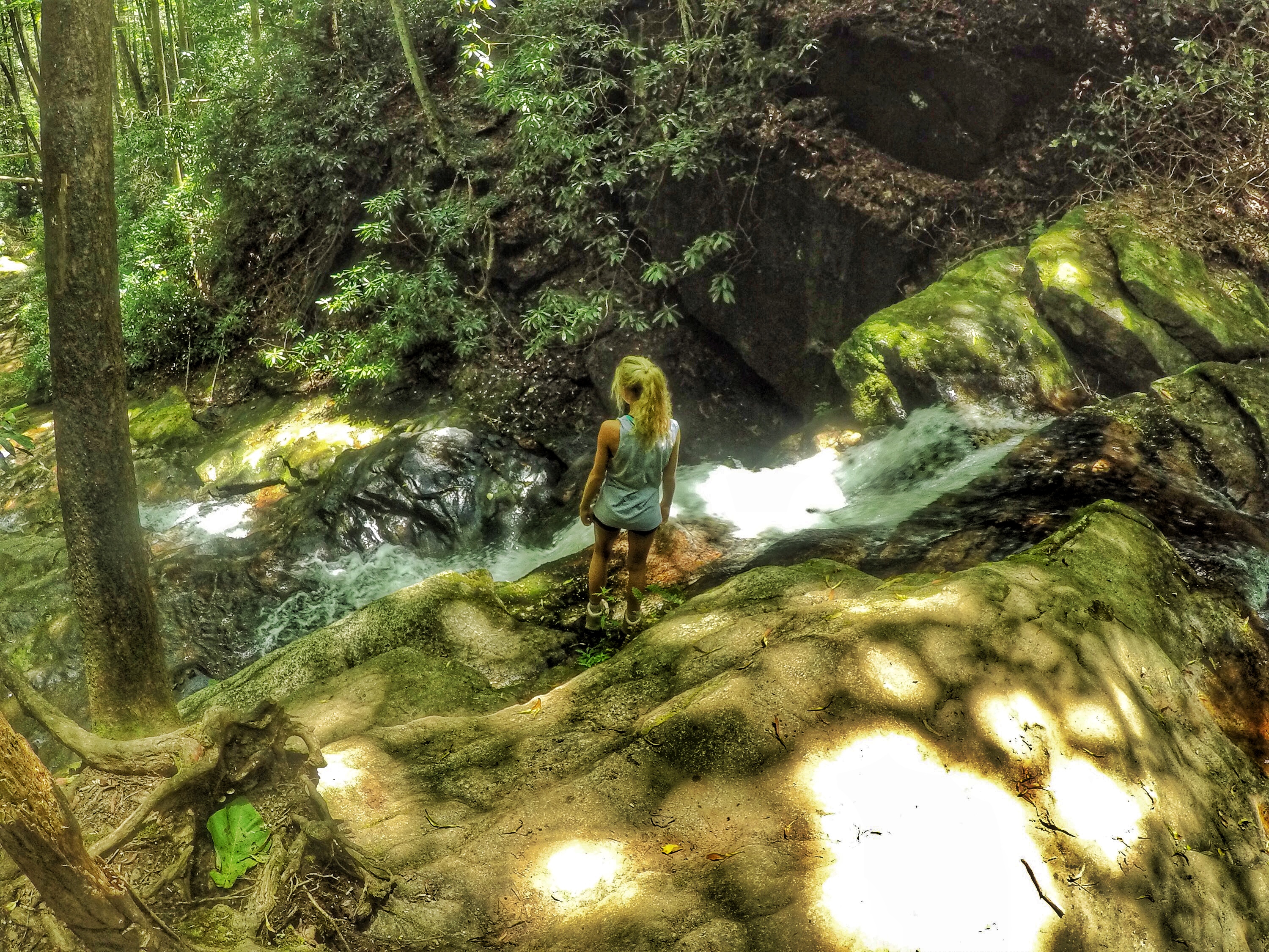 Raven Cliff Falls