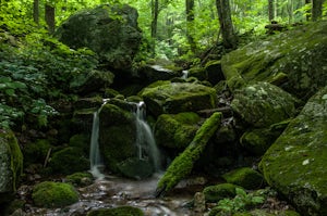 Hike to Wigwam Falls