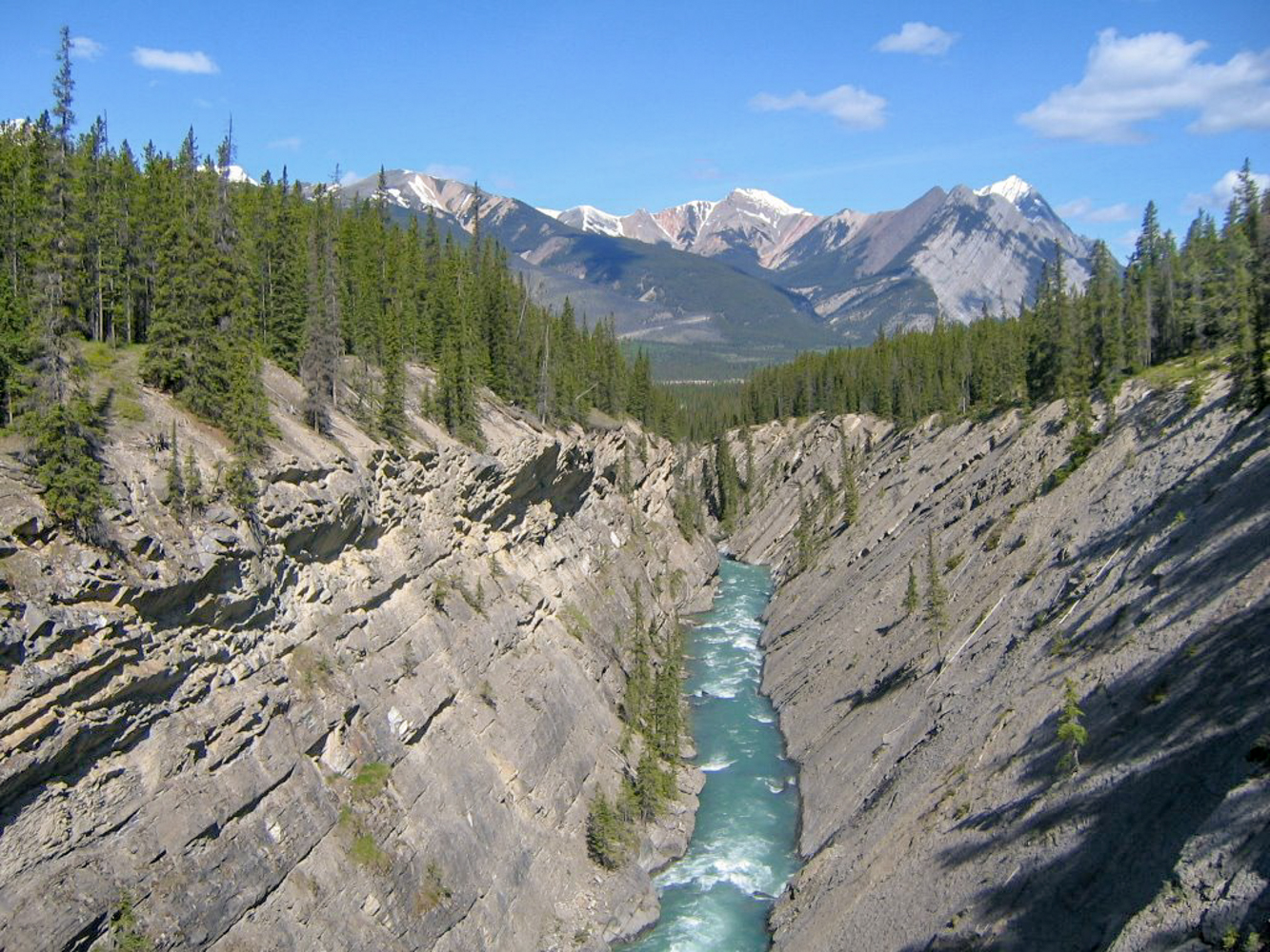 Siffleur Falls Trail