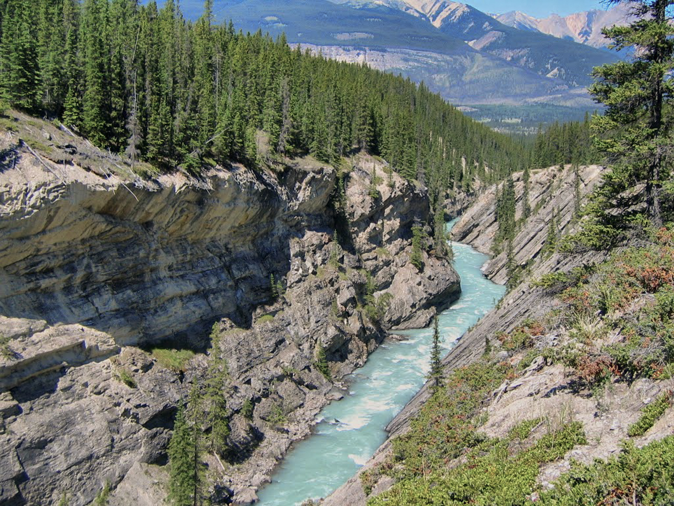 Siffleur Falls Trail