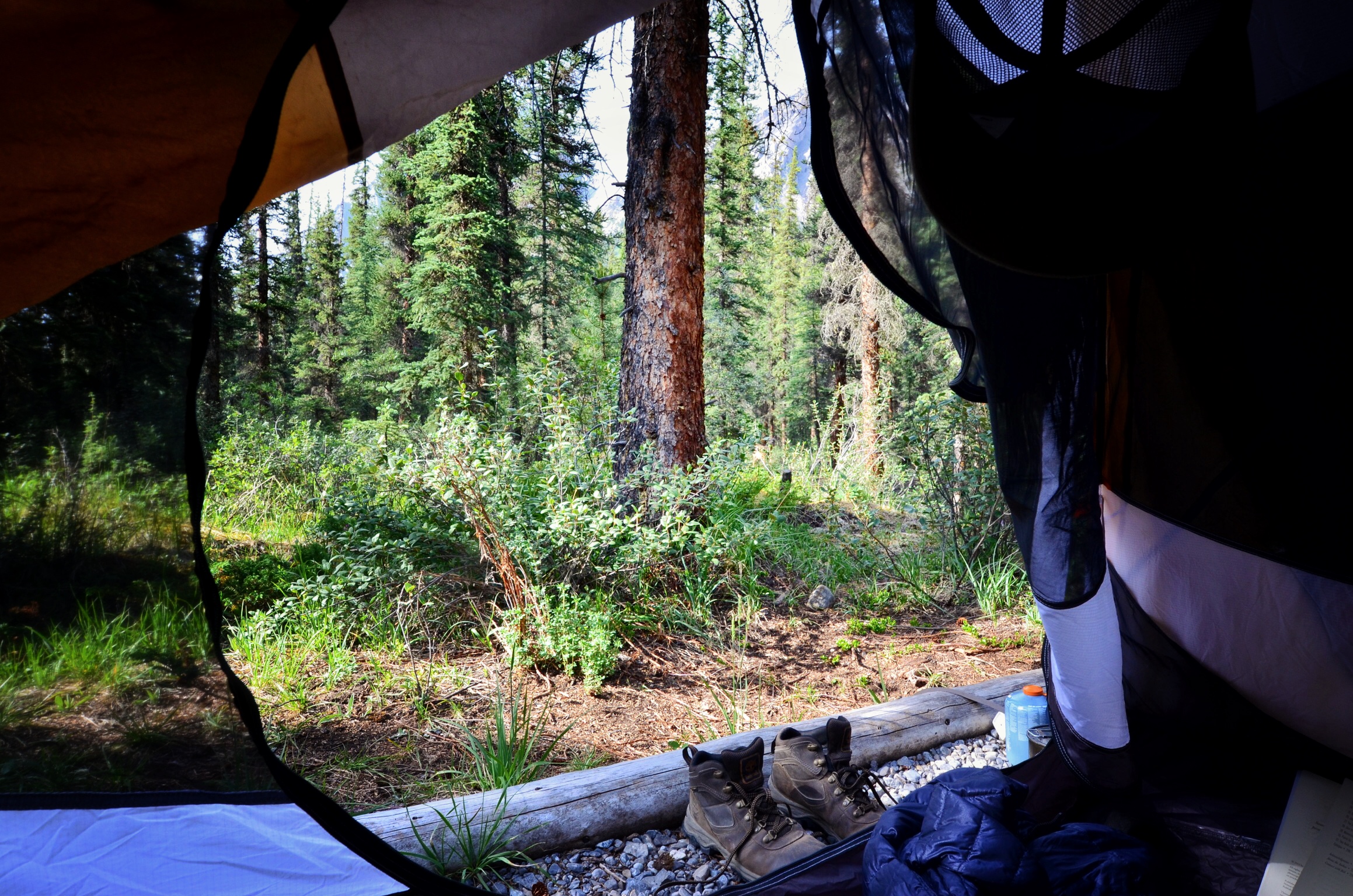 Camp at Maligne Lake