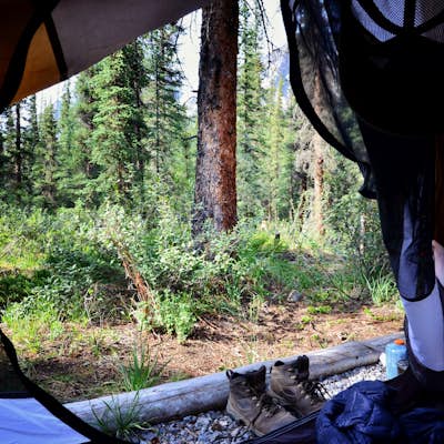 Camp at Maligne Lake