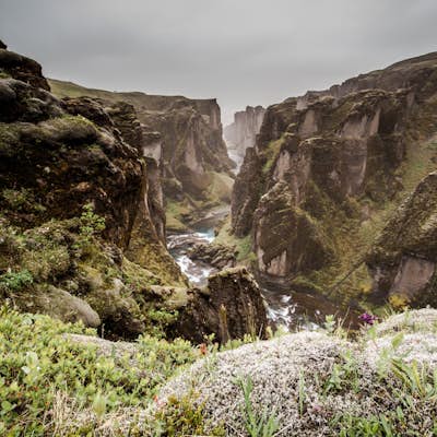 Explore Fjaðrárgljúfur Canyon