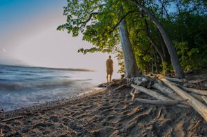 Explore Long Dock and Dennings Point Parks