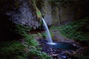 Ponytail Falls