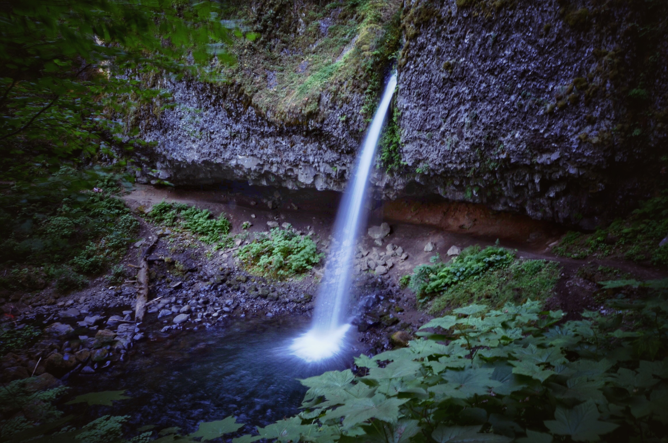Ponytail Falls