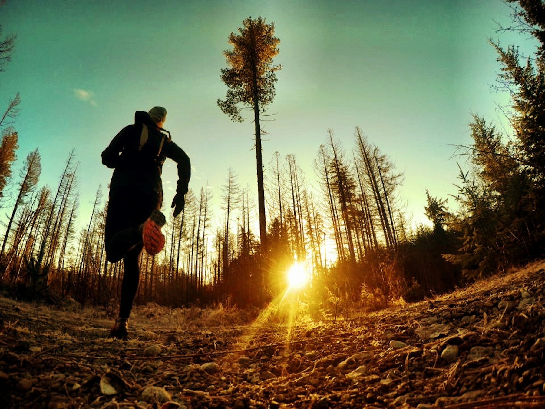 5 Reasons Why You Should Hit The Trail Before Sunrise, image size:1800x1350