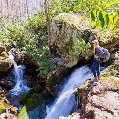 Hike the Mill Creek Trails