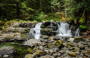 Siouxon Trail to 14 Mile Falls