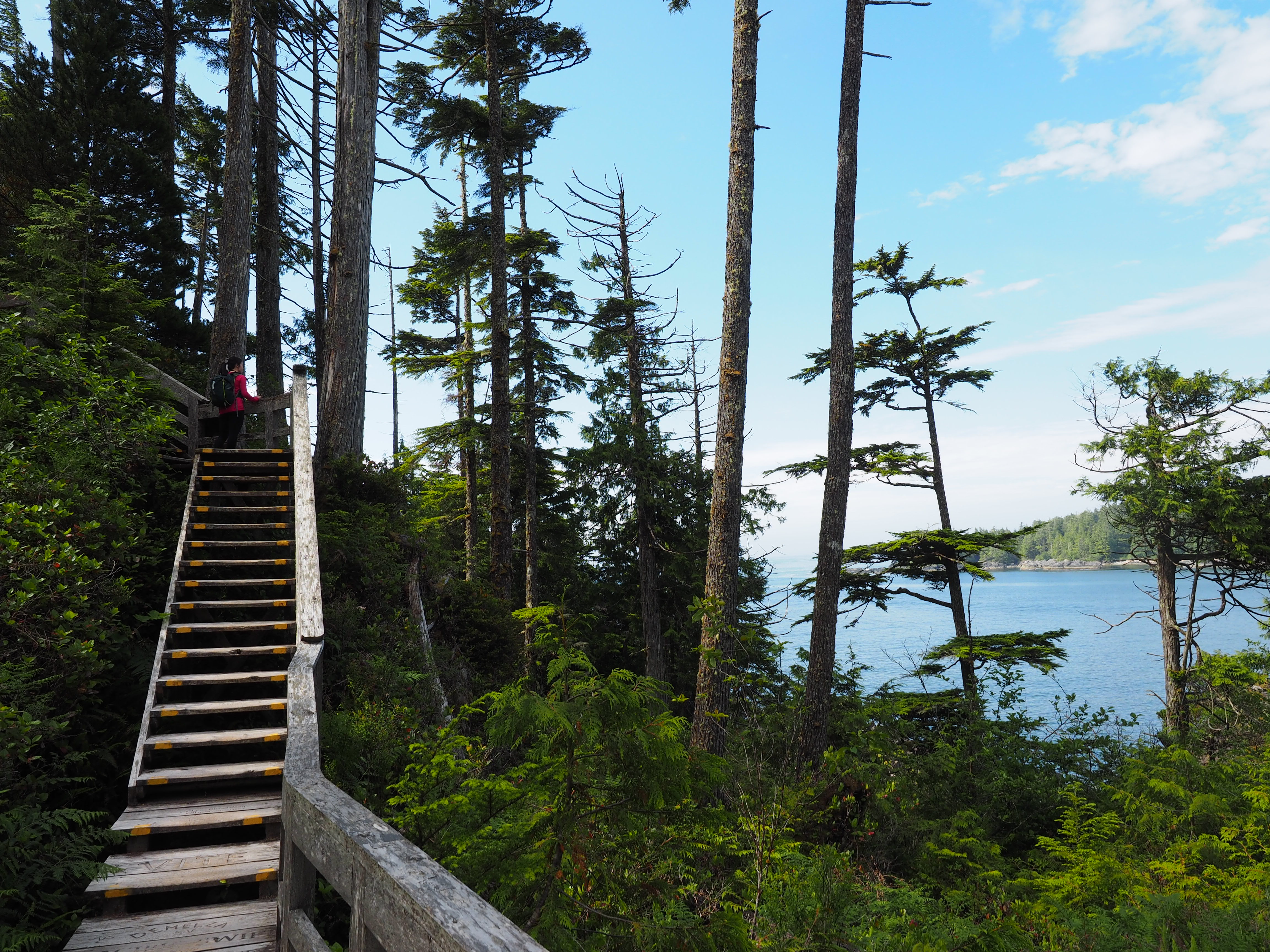 Explore Hot Springs Cove