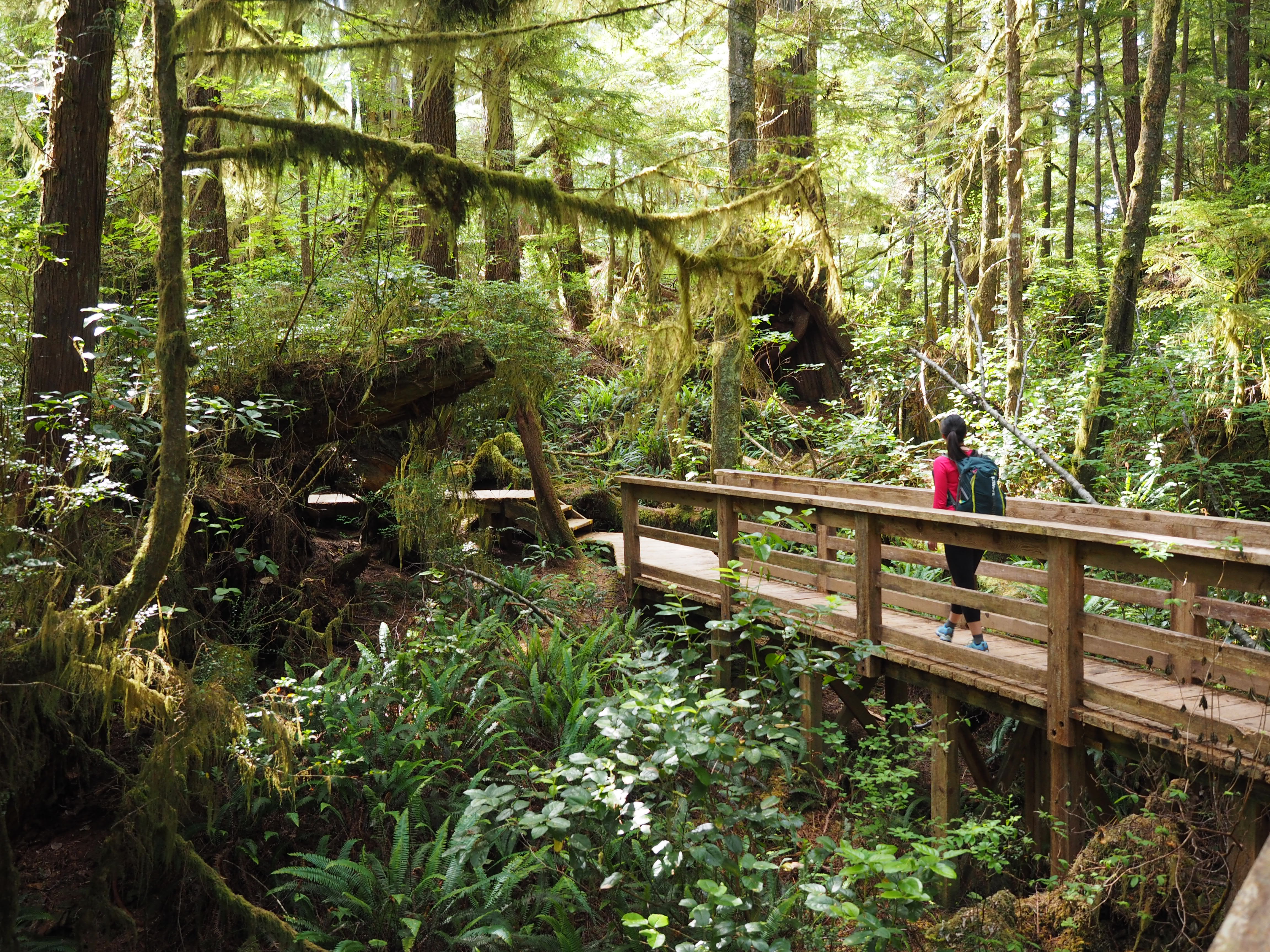 Explore Hot Springs Cove