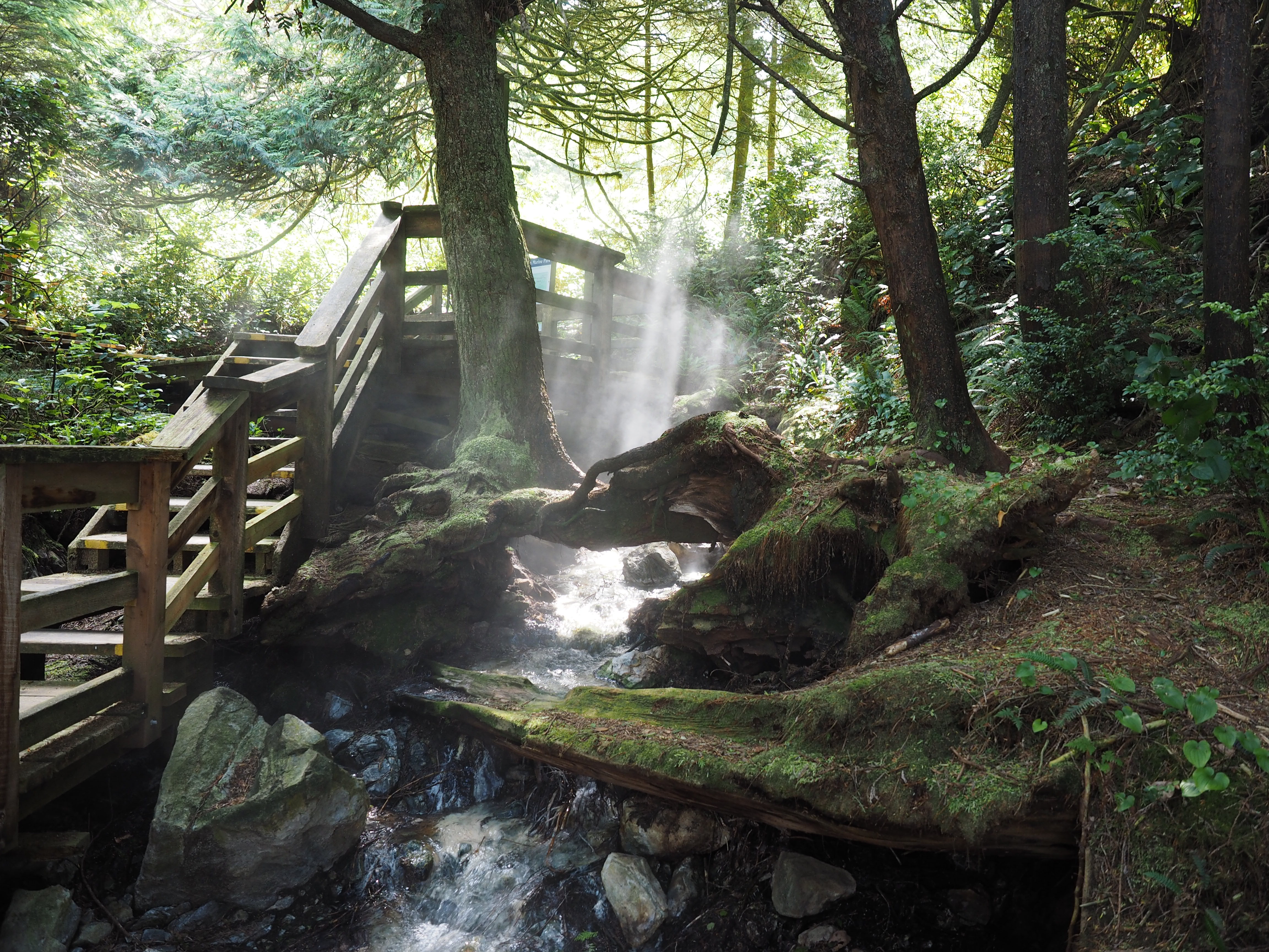 Explore Hot Springs Cove