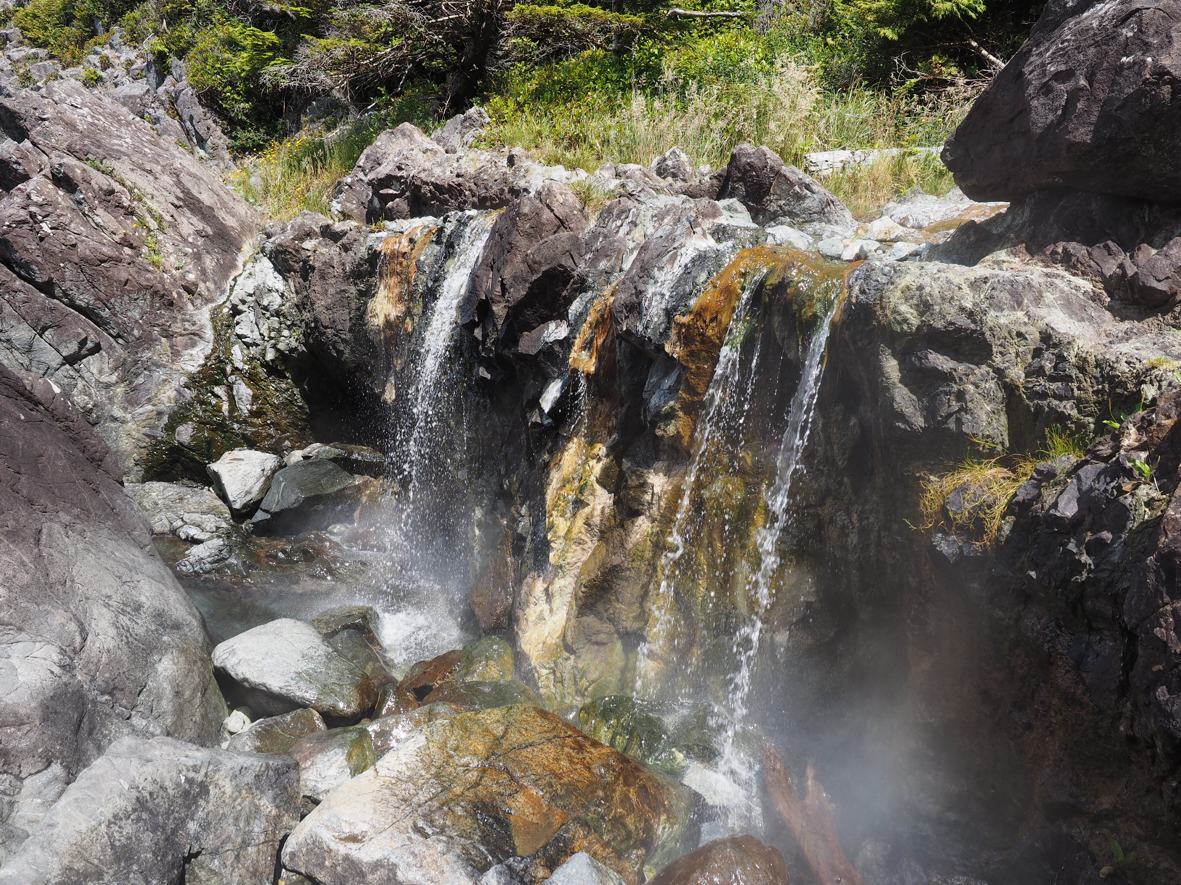 Explore Hot Springs Cove