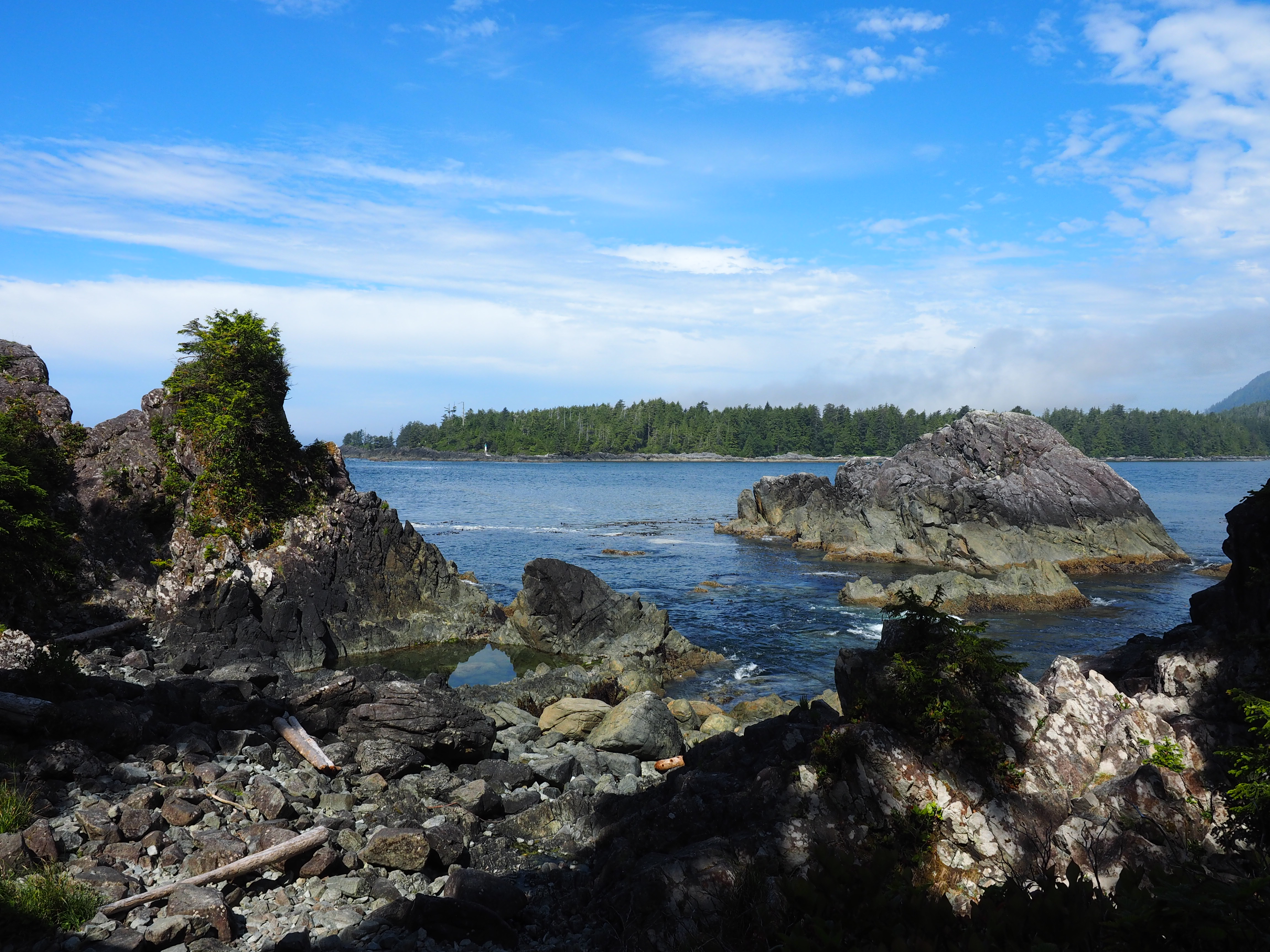 Explore Hot Springs Cove