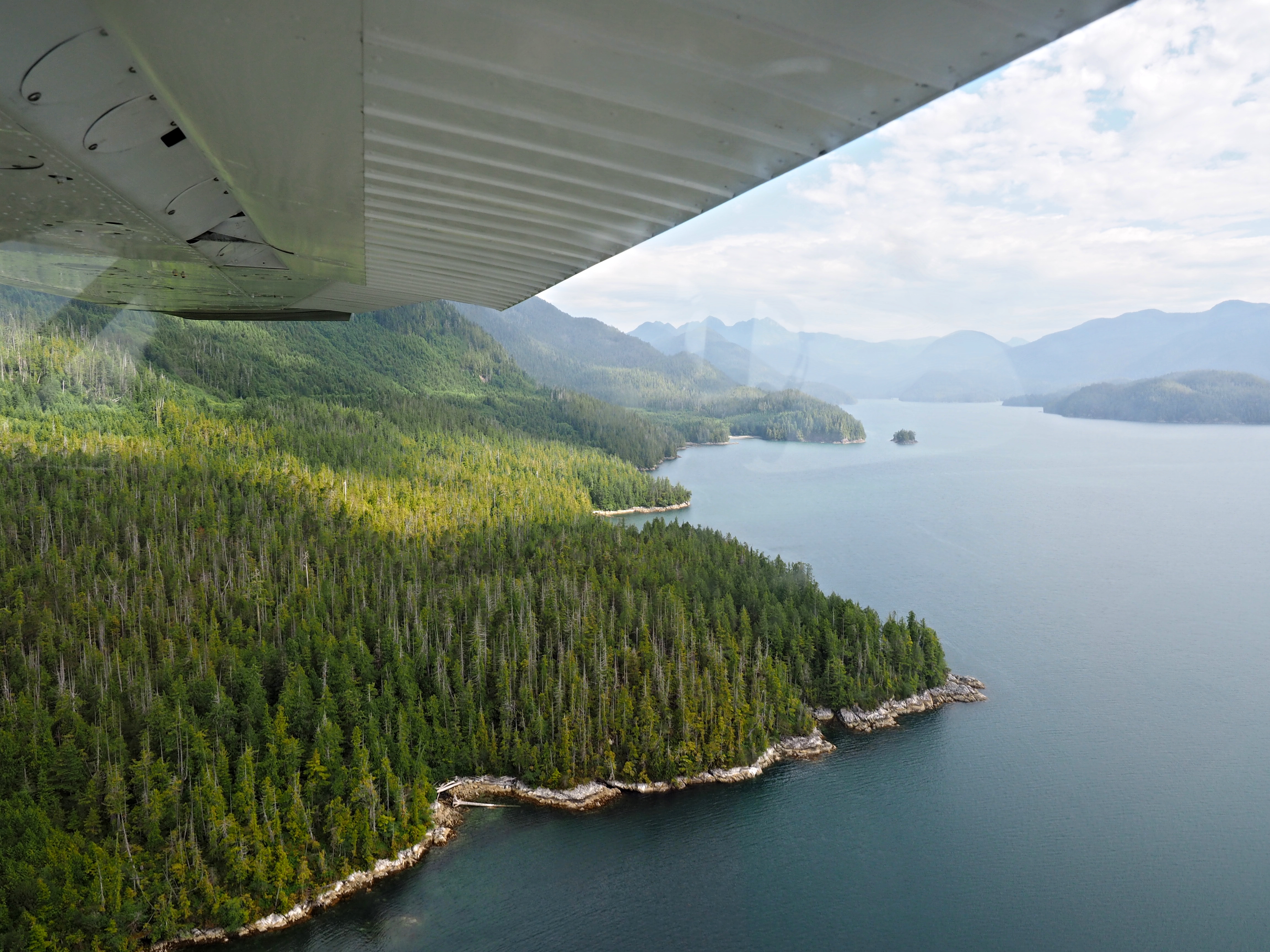 Explore Hot Springs Cove