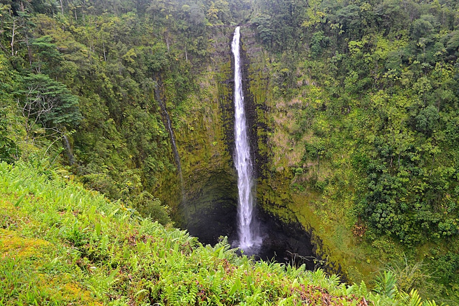 Hike to 'Akaka Falls, Pepeekeo, Hawaii