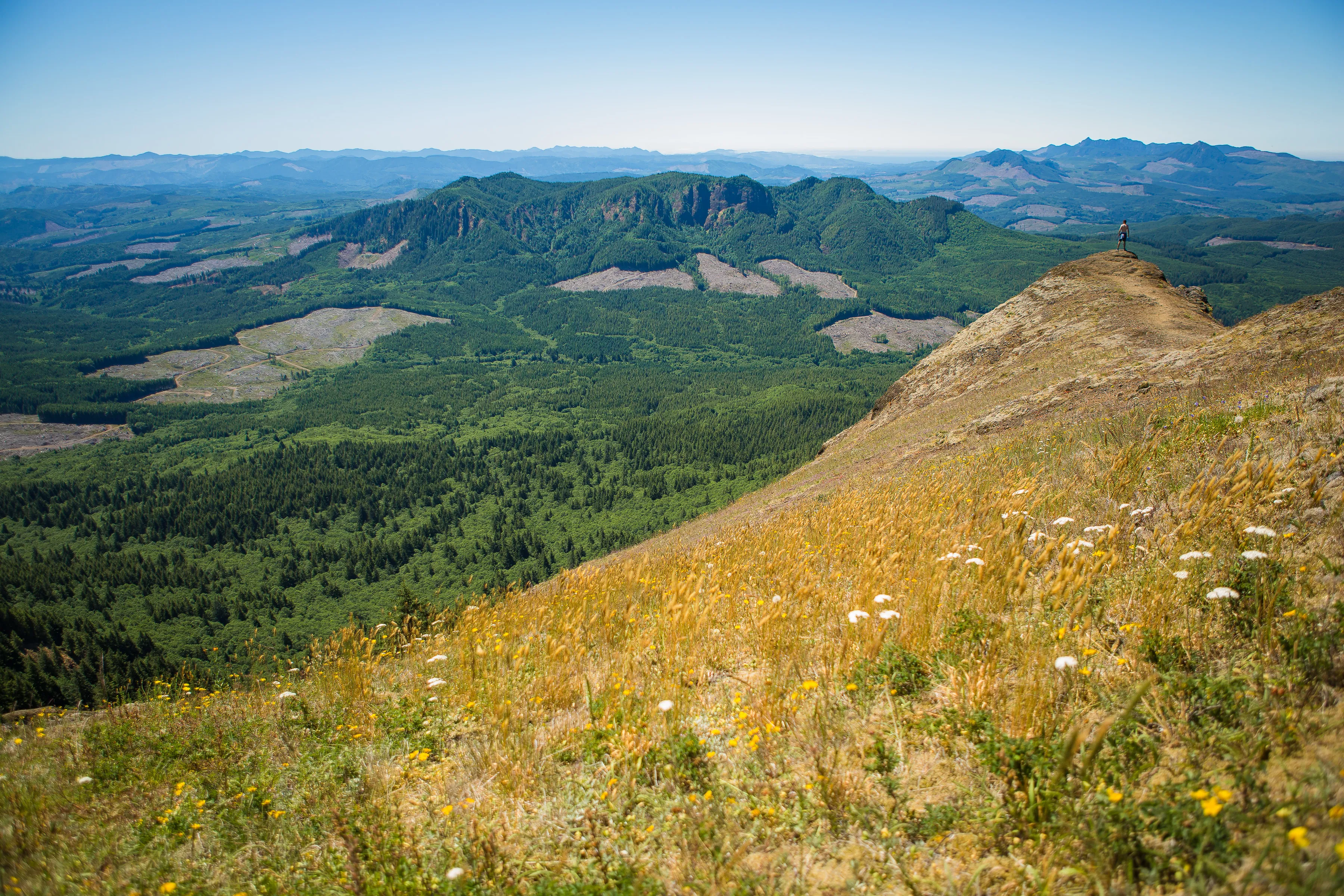 Saddle Mountain Trail