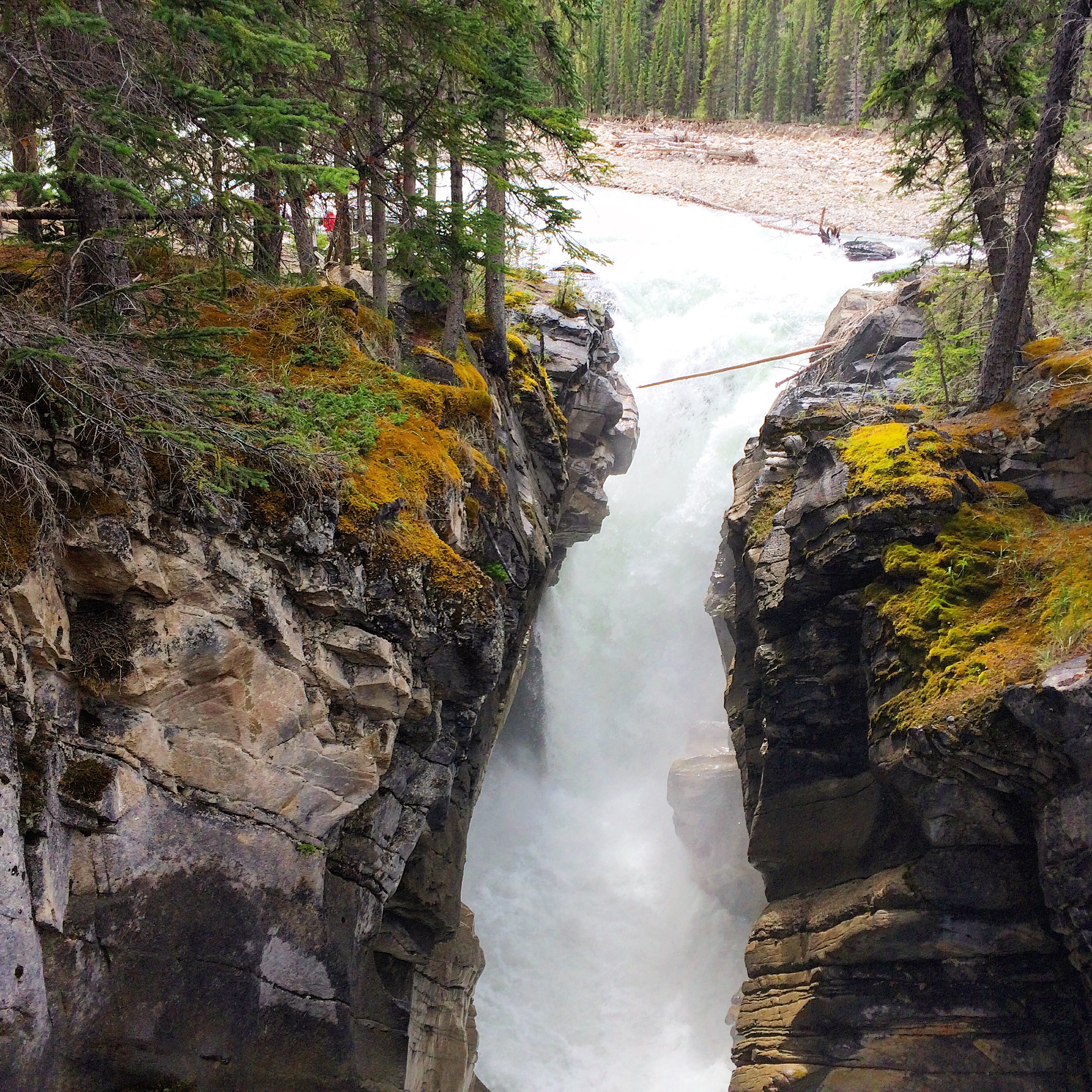 Camp at Upper Siffleur Falls